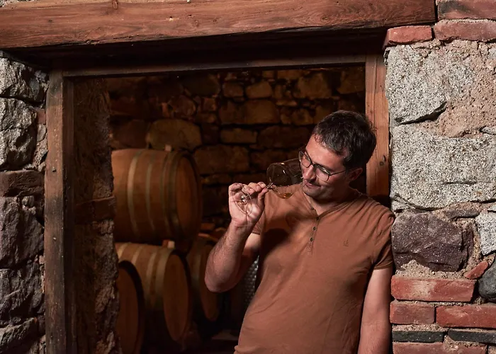 Pension Riedingerhof Merano